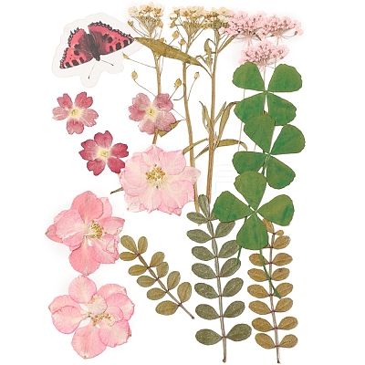 Pressed Dried Flowers DIY-YWC0001-95-1