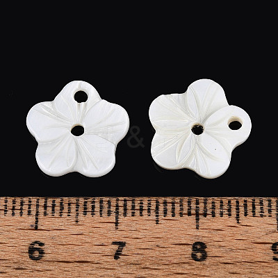 Natural Freshwater Shell Buttons SHEL-N038-11-1