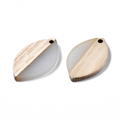 Resin & Wood Pendants RESI-S389-075-1