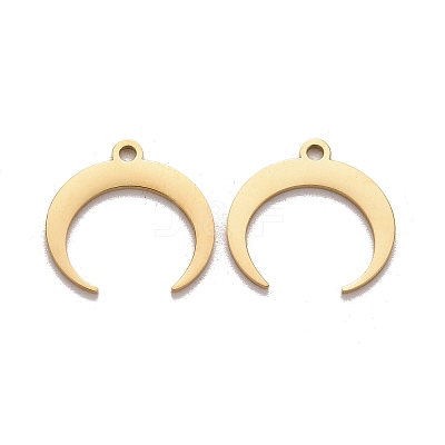 201 Stainless Steel Charms X-STAS-K211-03G-1
