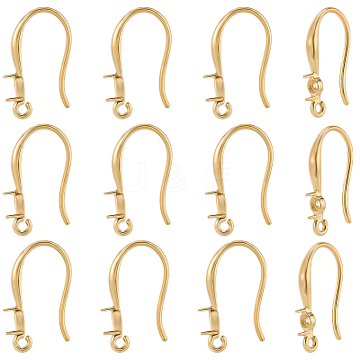 12Pcs 304 Stainless Steel Earring Hooks STAS-BBC0008-76-1