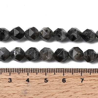 Natural Larvikite Beads Strands G-Z119-A32-02-1