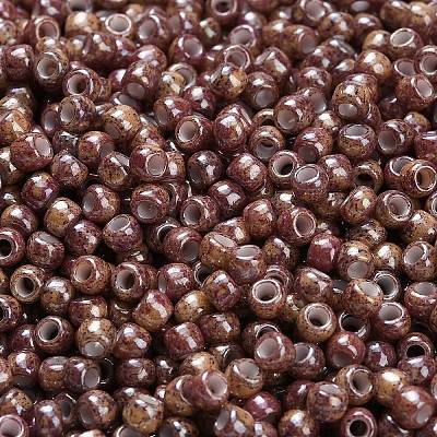TOHO 6/0 Round Beads SEED-TR06-1203-1