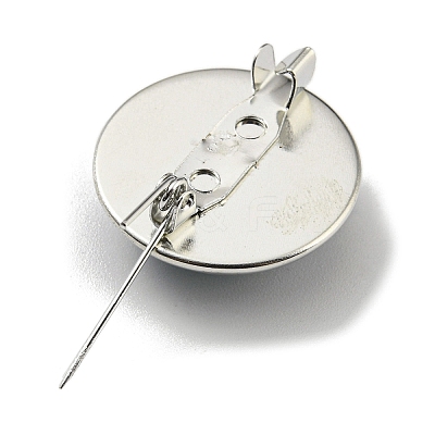 Round Glass Brooches FIND-Q096-01S-1