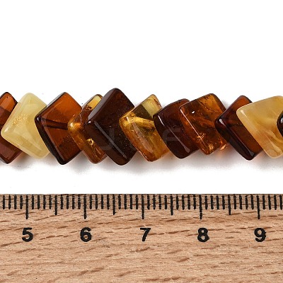 Natural Amber Beads Strands G-K376-C04-01-1