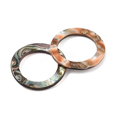 Natural Abalone Shell/Paua Shell Cabochons SHEL-T020-10B-1