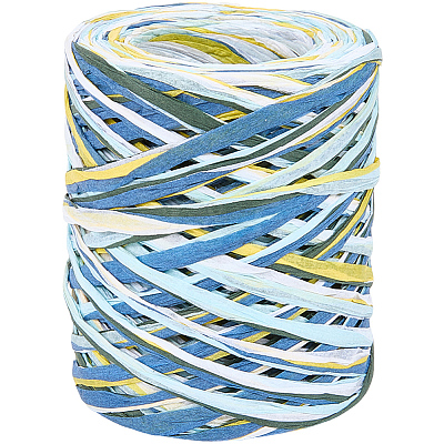 6 Colors Raffia Paper Cords OCOR-WH0063-110C-1