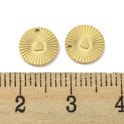 304 Stainless Steel Charms STAS-P356-10G-1