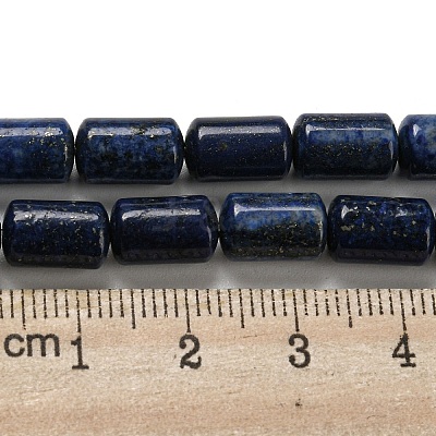Natural Lapis Lazuli Beads Strands G-M420-E02-03-1