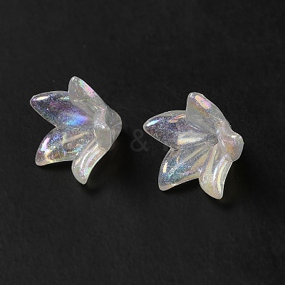 Transparent Acrylic Bead Caps OACR-H016-03-1