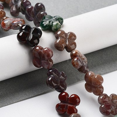 Natural Indian Agate Beads Strands G-P520-A04-01-1