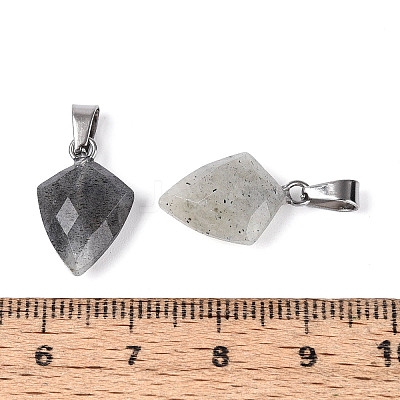 Natural Labradorite Pendants G-N349-18P-04-1
