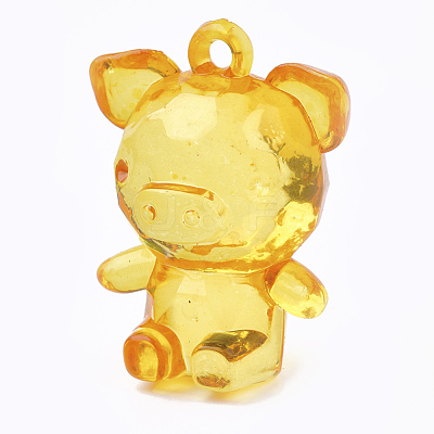 Transparent Acrylic Pendants TACR-S149-13-1