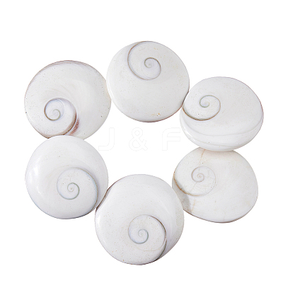 6Pcs Natural Shiva Eye Shell Cabochons BSHE-FH0001-04-1