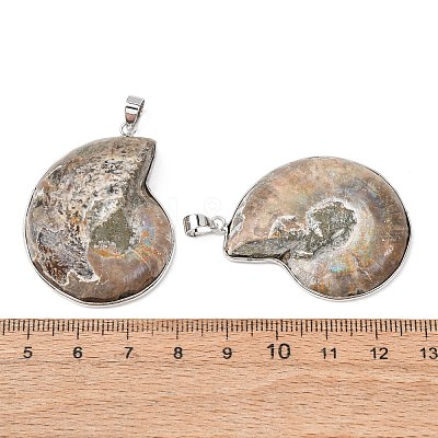 Snail Fossil Pendants G-D051-1A-1