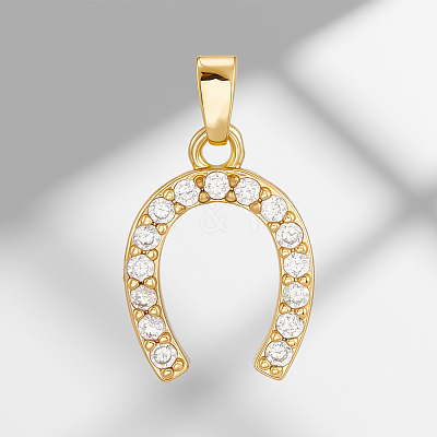 10Pcs Brass Micro Pave Cubic Zirconia Pendants KK-BBC0019-39-1
