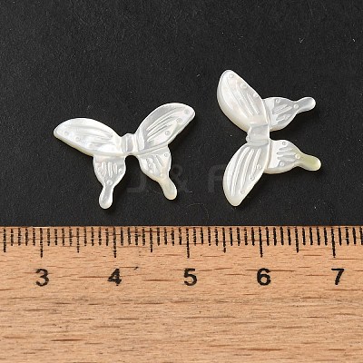 Natural White Shell Beads SHEL-M021-09A-1