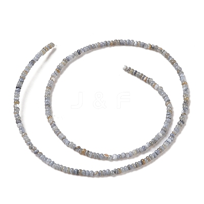 Natural Freshwater Shell Beads Strands SHEL-P017-01A-13-1