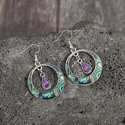 Bohemian Style Zinc Alloy Plastic Dangle Earrings FS-WG6C237-01-1