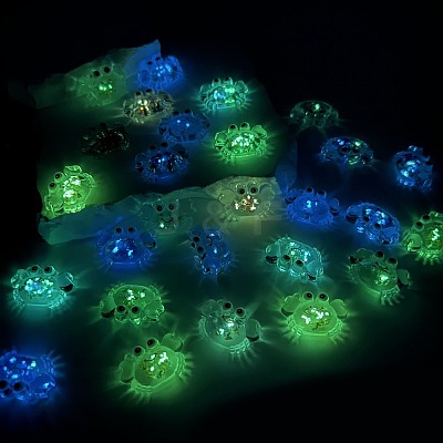 Luminous Transparent Acrylic Pendants TACR-F006-02-1
