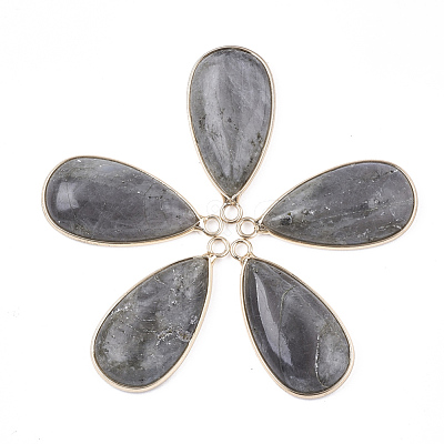 Natural Labradorite Pendants G-S344-51C-1