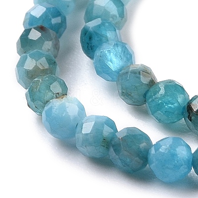 Natural Apatite Beads Strands X-G-E411-36-2mm-01-1