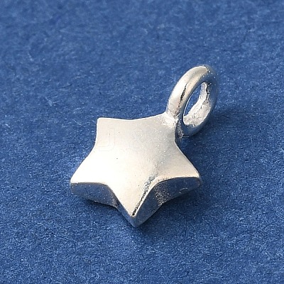925 Sterling Silver Charms FIND-U013-06S-02-1