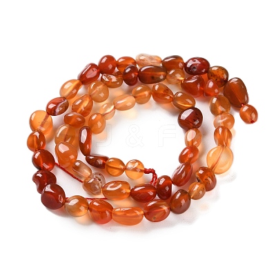 Natural Carnelian Beads Strands X-G-P497-01C-35-1