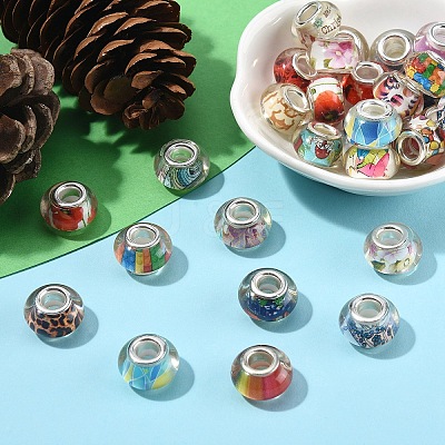30Pcs Large Hole Resin European Beads OPDL-YW0001-07-1