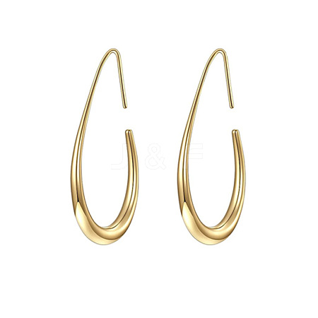 Teardrop Brass Dangle Earrings FS-WG1287F-01-1