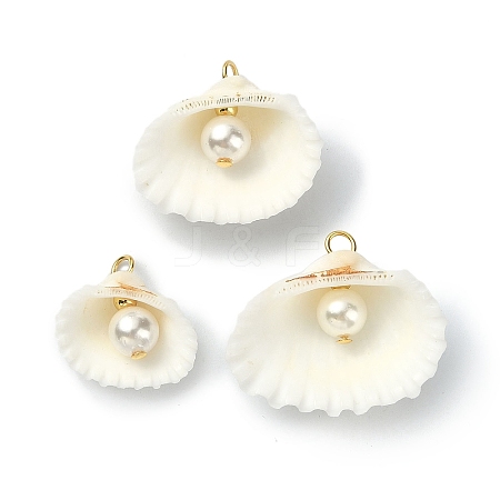 Natural Shell Pendants PALLOY-TA00079-1