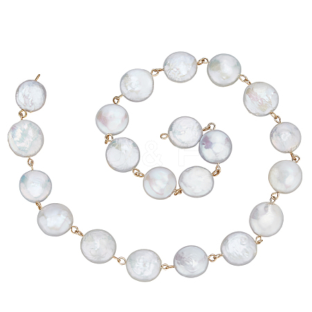 Pearl & 304 Stainless Steel Link Chain AJEW-PH01617-1
