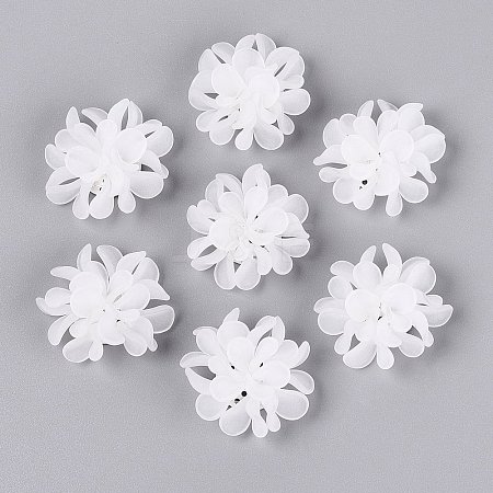 Frosted Transparent Acrylic Cabochons AC-N177-01B-01-1