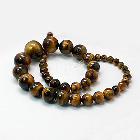 Natural Gemstone Beads Strands G-G170-2-1