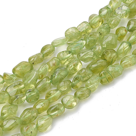 Natural Peridot Beads Strands G-S339-15-1