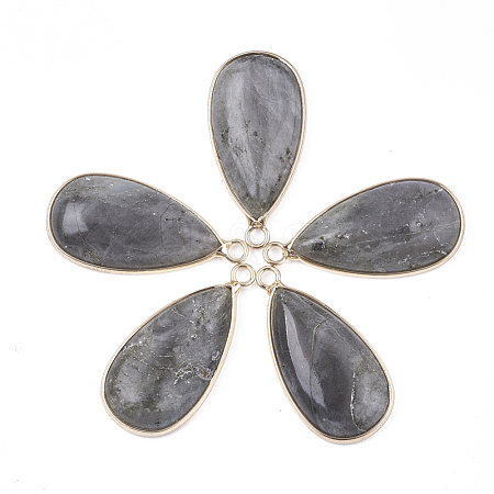 Natural Labradorite Pendants G-S344-51C-1