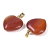 Dyed & Heated Natural Carnelian Pendants G-G956-B52-G-2