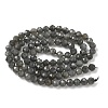 Natural Labradorite Beads Strands G-L622-C03-4mm-3