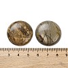 Natural Picasso Jasper Cabochons G-B085-02A-09-3