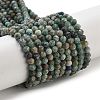 Natural African Turquoise(Jasper) Beads Strands G-G140-A11-01-1