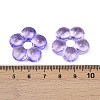 Transparent Glass Beads GLAA-F129-01H-3