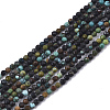Natural Green Turquoise Beads Strands G-N328-001B-1