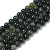 Natural Moss Agate Beads Strands G-A248-A02-01-1