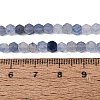 Natural Blue Aventurine Beads Strands GG-N002-02A-04-5