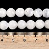 Natural Selenite Beads Strands X-G-G167-A02-01-5