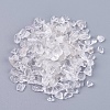 Natural Quartz Crystal Chips Beads G-K251-03-1