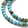 Natural Howlite Beads Strands G-C025-02B-06-4