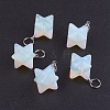 Opalite Pendants X-G-E398-02M-2