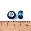 Transparent Glass European Beads GPDL-N004-D14mm-B12-3