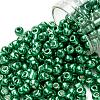 6/0 Glass Seed Beads SEED-A017-4mm-1114-1